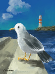 seagull